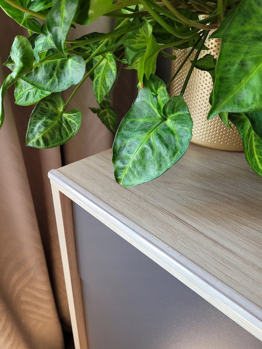 BEZBARWNA LISTWA ZABEZPIECZAJĄCA KANTY MEBLI RANTY Narożniki Krawędzie