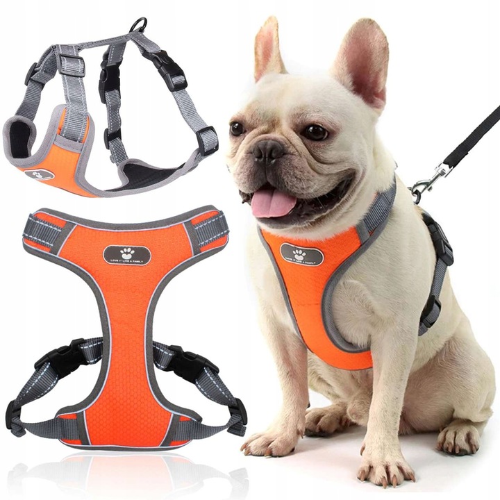 SZELKI DLA MAŁEGO PSA BEZUCISKOWE MOCNE GUARD M