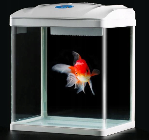 Małe Akwarium dla Bojownika HR-230 7L Zestaw z filtrem i Lampą LED 3