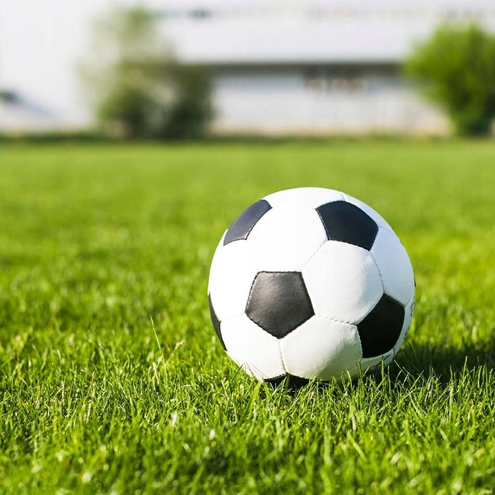 Trawa BARENBRUG RPR Lawn 1kg