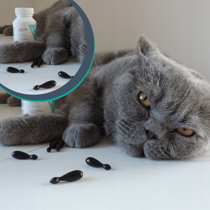 Preparat dla psów i kotów na stres Vet Expert Calm & Relax 30 kapsułek