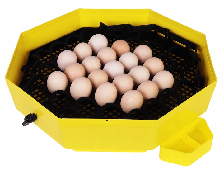 INKUBATOR CLEO 5DTHE 60/41 JAJ WYLĘGARKA KLUJNIK LCD TERMOMETR TACA