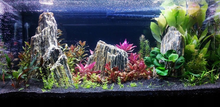 Czarny Piasek Żwirek do Akwarium Naturalny Doskonały dla Roślin 24kg 2-3mm