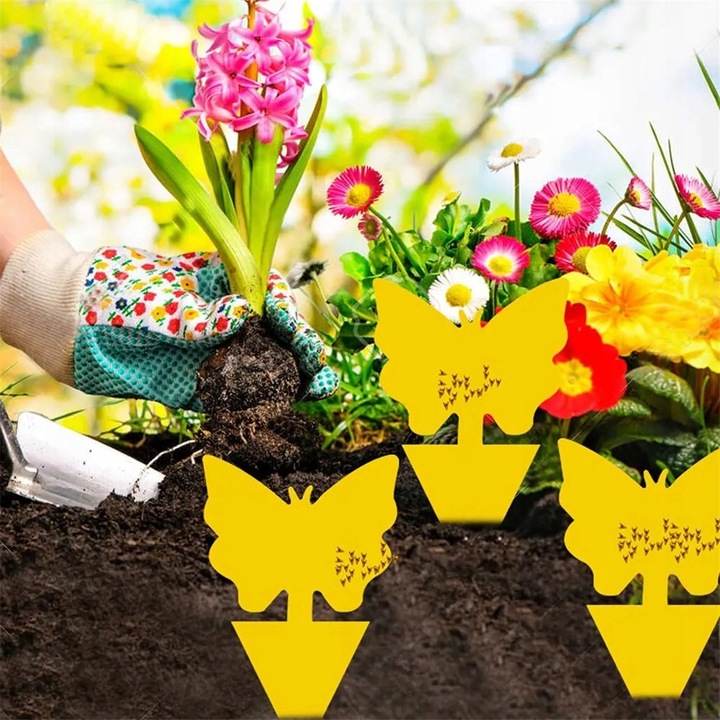 60x ŻÓŁTY LEP DO DONICZEK MOTYL na ziemiórki mszyce muszki owocówki