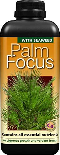 Nawóz do palm PALM FOCUS 1L Growth Technology idealnie zbilansowany