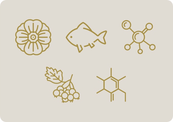 Lutezan Premium wyciąg z aronii na wzrok 120 kapsułek