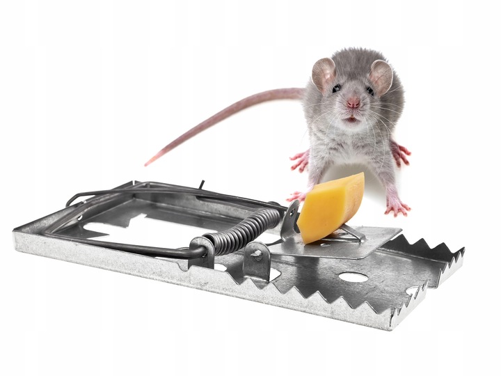 SILNA METALOWA KLASYCZNA PUŁAPKA ŁAPKA NA MYSZY SZCZURY SKUTECZNA (3