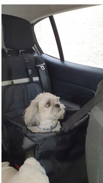 FOTELIK SAMOCHODOWY KOJEC DO SAMOCHODU DLA PSA