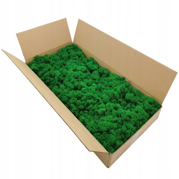 Mech chrobotek dekoracyjny 3 KOLORY