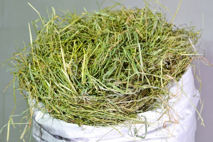 Siano , Sianko, 5kg dla gryzoni ,zwierząt domowych i hodowlanych