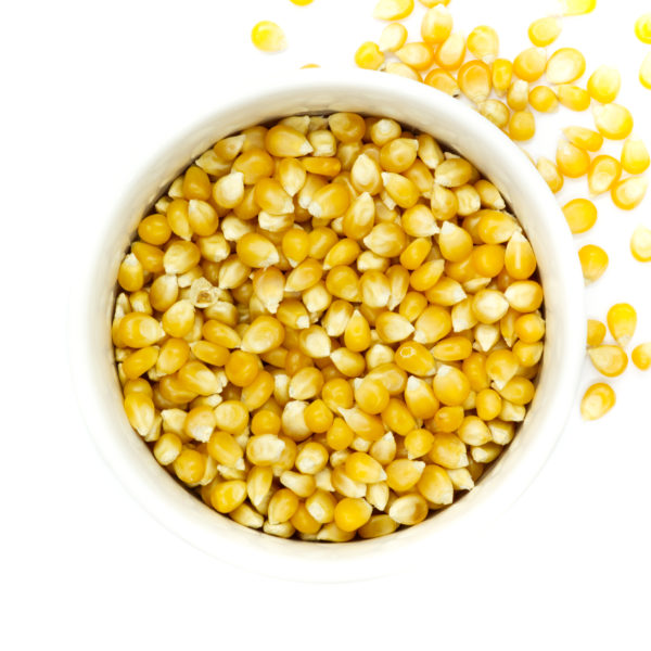 KUKURYDZA DO PRAŻENIA- POPCORN MEGA PAKA 5 kg Marsyl