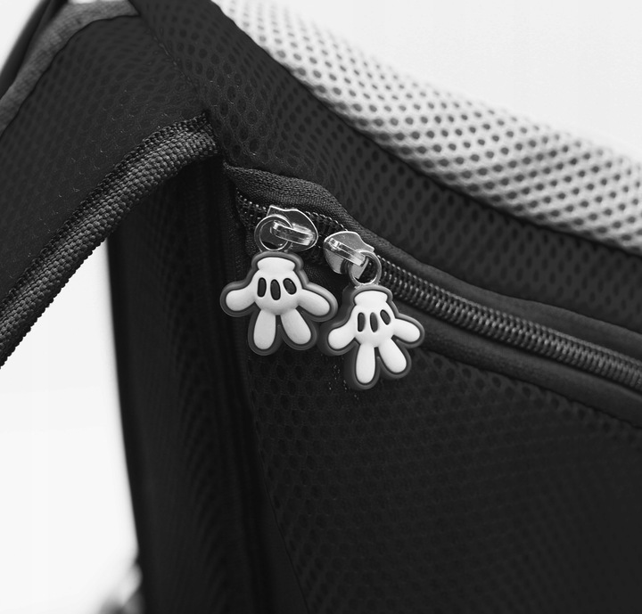 Plecak transporter dla psa pupila, torba podróżna