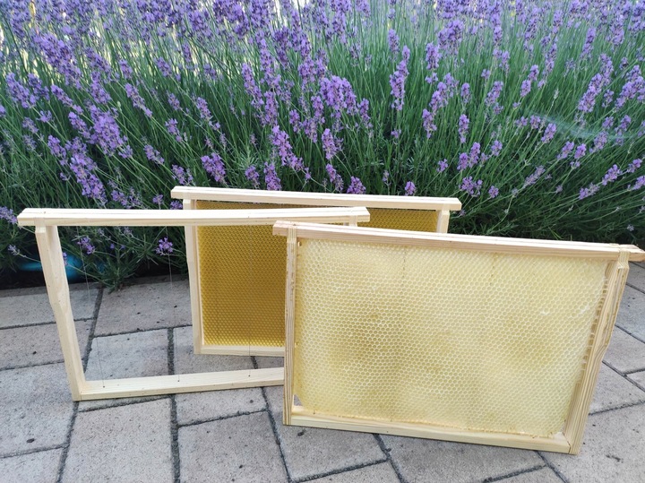 Węza pszczela Wielkopolska - 1kg, badana - Łysoń