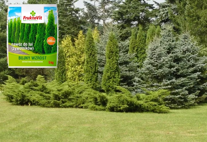 NAWÓZ DO TUJI ŻYWOTNIKÓW TUI THUI WIOSENNY FRUKTOVIT PLUS WYBARWIANIE