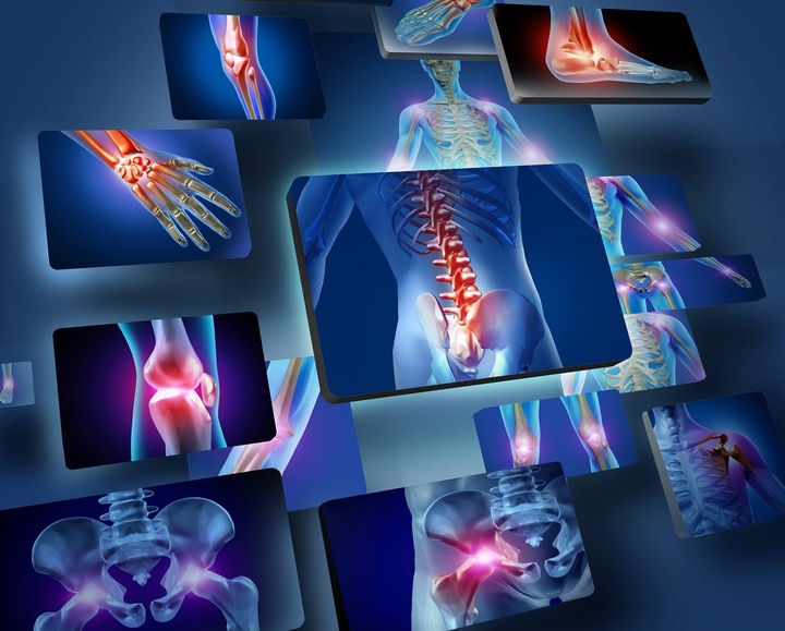 Skaner Biorezonans QUANTUM CEL NEXT v25 PL