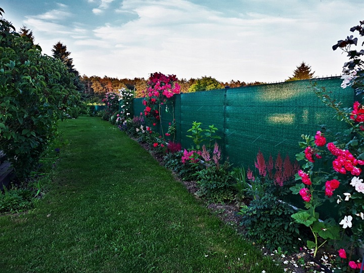 SIATKA CIENIUJĄCA 90% MASKUJĄCA MATA OSŁONOWA NA OGRODZENIE PŁOT 1,5x50m UV
