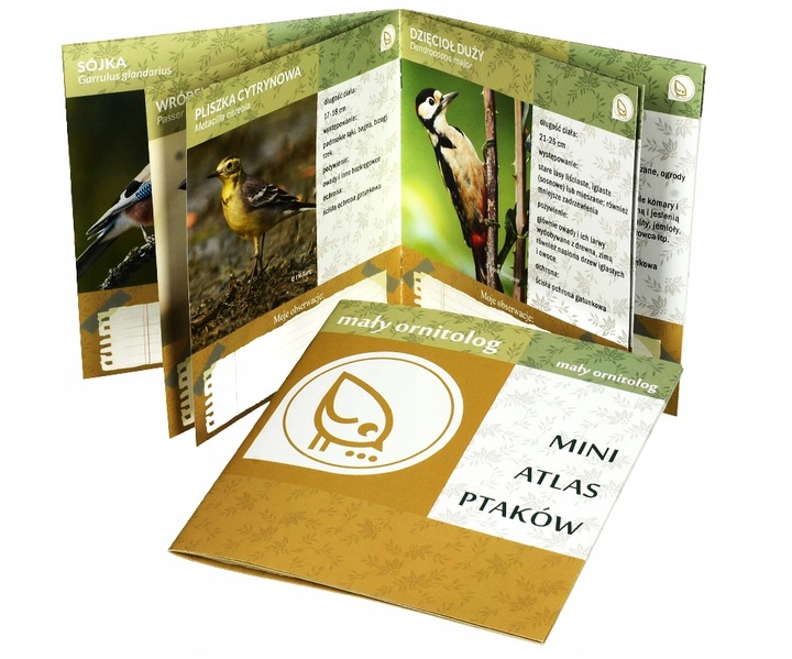 KARMNIK DLA PTAKÓW NA POKARM ZIARNO NA OKNO KULA MAŁY ORNITOLOG Z