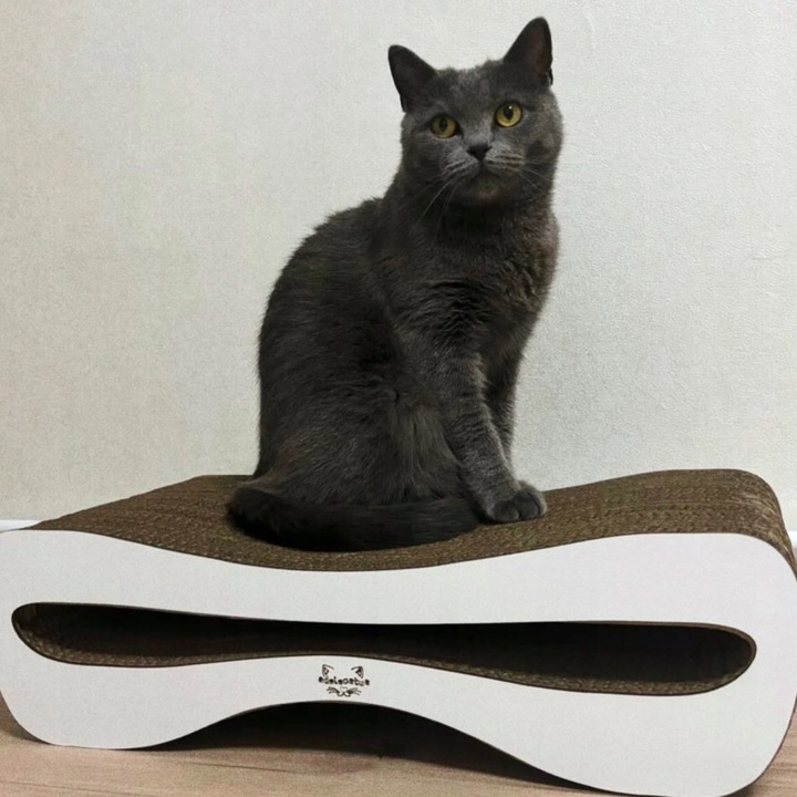 Drapak dla kota kartonowy 51x25x14 MONO ADELECAT DUŻY LEGOWISKO NISKI