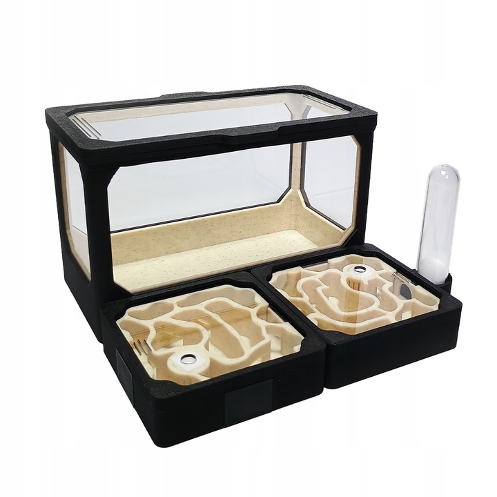 Formikarium AVERAGE M - Terrarium Dla Mrówek Modułowe 140x140