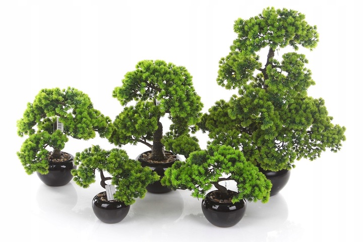 sztuczne drzewko BONSAI LARCH 48x35 modrzew w ceramicznej czarnej doniczce