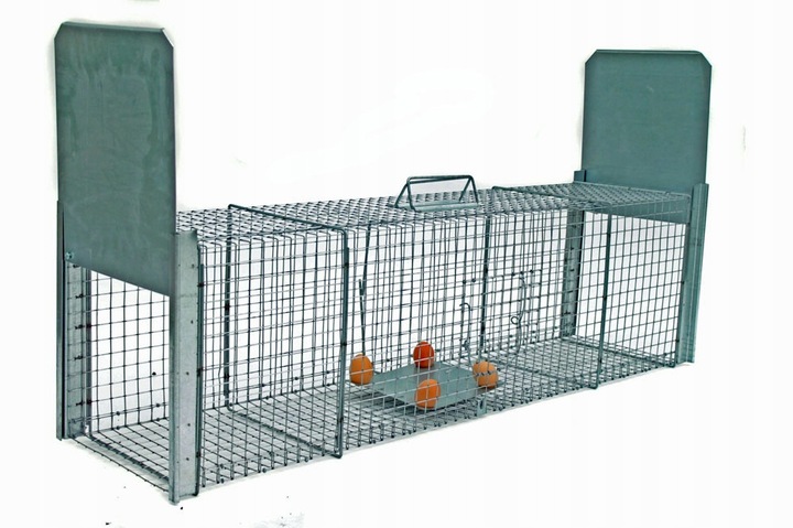 żywołapka pułapka na lisa kune kota 150 cm duża