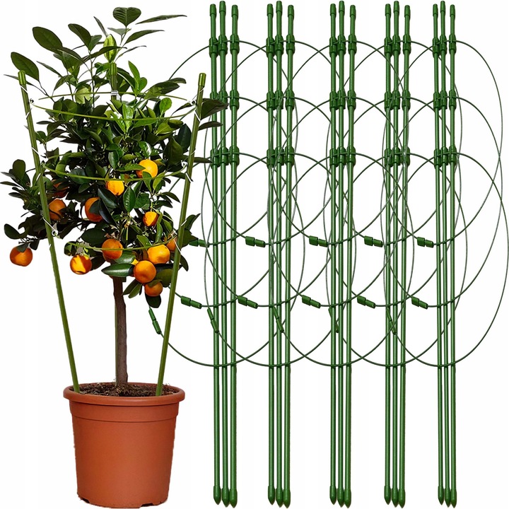 Podpórka do Kwiatów Podpora dla Roślin Doniczkowych Pnących Kwiatka 61cm 5x