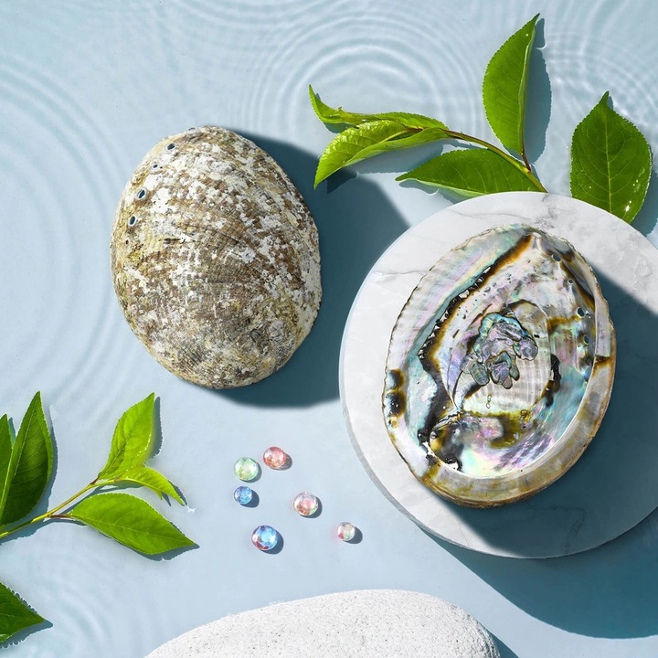 Naturalna Podstawka Pod Kadzidło Muszla Abalone