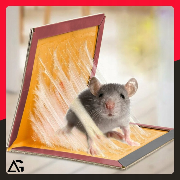 60x PUŁAPKA NA MYSZY SZCZURY MYSZOŁAPKA SILNY KLEJ MOCNA ŁAPKA LEP