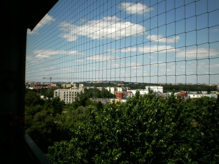 SIATKA ZABEZPIECZAJĄCA NA BALKON DLA KOTA PRZECIWKO PTAKOM 2x3m