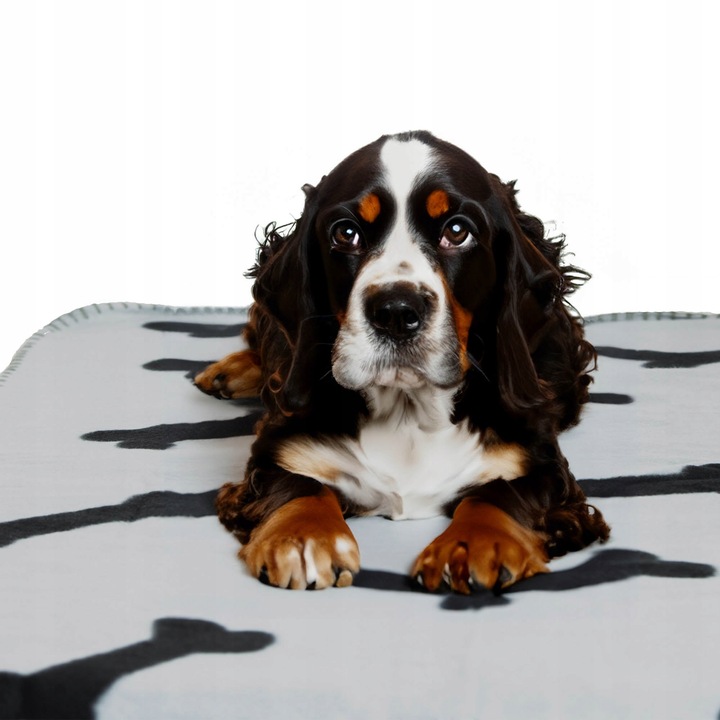 3X KOC KOCYK DLA PSA KOTA W KOŚCI MIĘKKI POSŁANIE MATA S 75X75 Cm