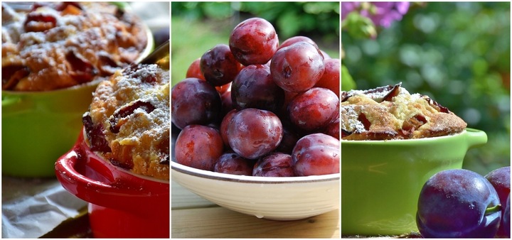 Śliwa RENKLODA ALTHANA /znana i niezwykle UWIELBIANA śliwka, dorodne