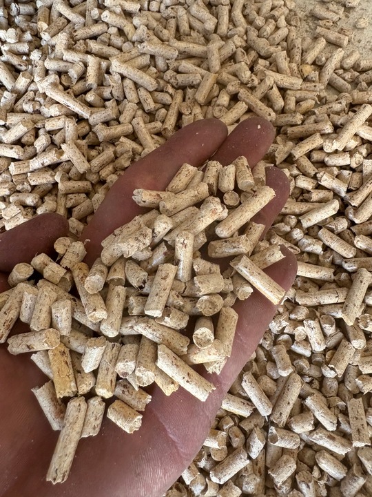 Ekologiczny Żwirek dla Kota 15 kg – Pellet Drewniany JASNY