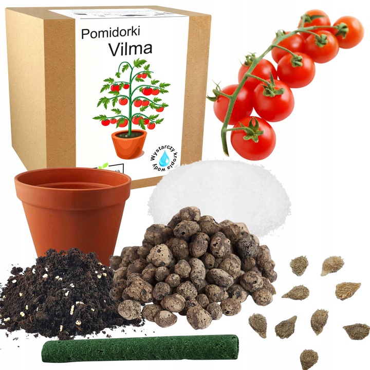 ZESTAW DO UPRAWY POMIDOR VILMA POMIDORY KOKTAJLOWE NASIONA 10x WIELOLETNIA