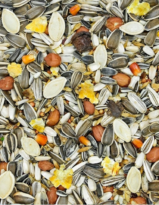 karma dla papug dużych z orzechami, bez owoców MDM PD 1 x 10kg fa