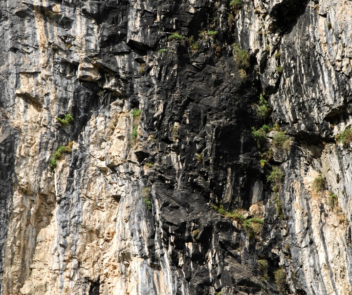 SHILAJIT MUMIO HIMALAJSKIE NATURALNE ORYGINALNE CZYSTE ŻYWE PASTA 25G