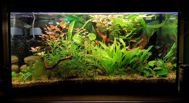 REFLED Świetlówka LED RGB 2 x 90cm akwarium pilot