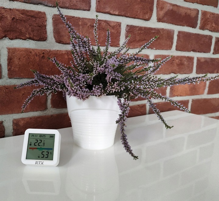 Czytelny Czujnik Sensor Temperatury Wilgotności LCD Zigbee Tuya