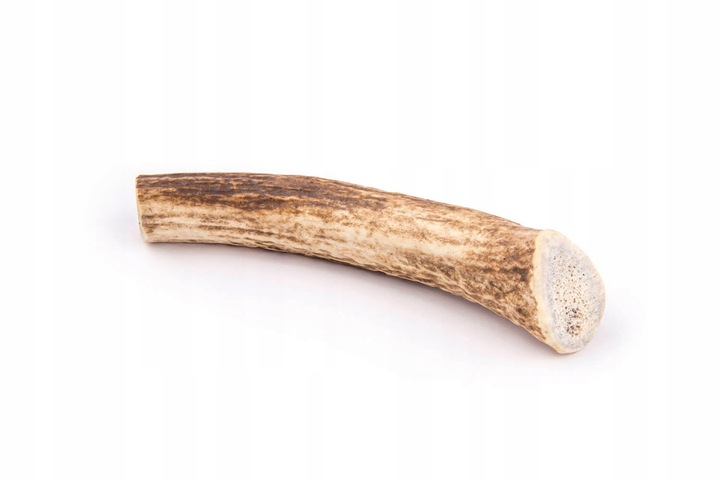 4DOGS Gryzak z poroża - poroże jelenia L hard