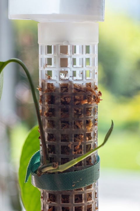 SPHAGROW AQUADRIP Nawadniacz kropelkowy do palika SPHAGROW D-6-25