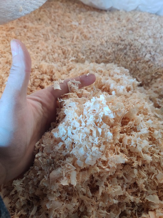 TROCINY ODPYLONE 200L 9KG WIÓRKI DLA GRYZONI CHOMIKA ŚWINKI KONI KRÓLIKÓW