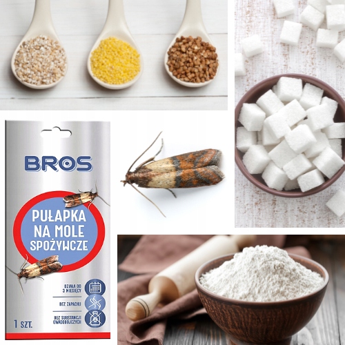 BROS Pułapka na mole spożywcze ZESTAW 10 SZTUK