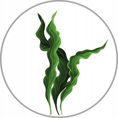 Peeling do skóry głowy enzymatyczny trychologiczny WAX Tricho 150ml