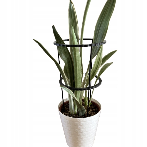 Podpórki do roślin kwiatów podpora pierścieniowa podpórka RINGS S33cm 16/18