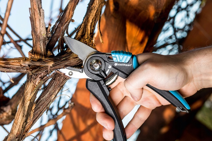 Sekator Ogrodowy Do Krzewów Gałęzi Nożyce Ręczne Kowadełkowe Cellfast