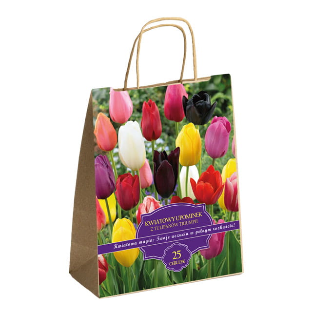 Zestaw Prestige Tulipany polskie triumph mix 25 szt. IDEALNY NA