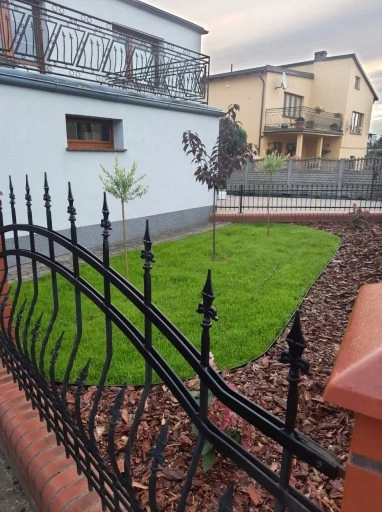 NASIONA TRAWY 5KG TRAWA SAMO ZAGĘSZCZAJĄCA ODPORNA UNIWERSALNA GREENATO