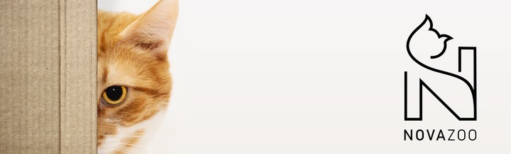 8x ŻWIREK SILIKONOWY LAWENDOWY BEZPYŁOWY PREMIUM DLA KOTA NOVAZOO 3.8L