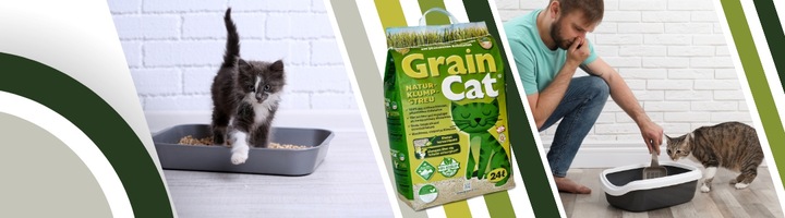 Żwirek dla Kota ZBRYLAJĄCY EKOLOGICZNY 24l Zbożowy BIODEGRADOWALNY do WC
