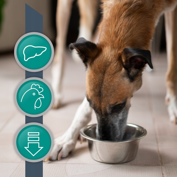 Mokra karma dla psów wsparcie wątroby kurczak Vet Expert Hepatic 6 x