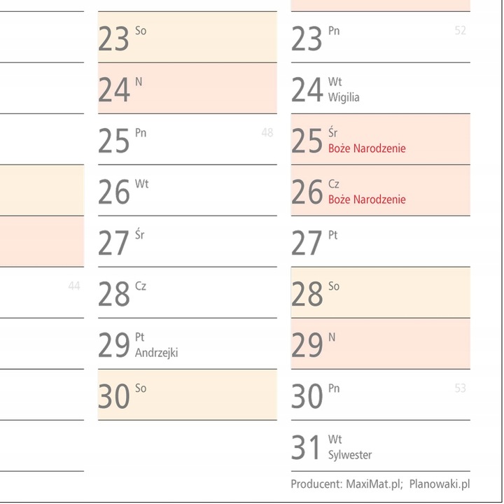Planer A1 Kalendarz 2025 84x59 zmazywalny z mocowaniem samoprzylepnym